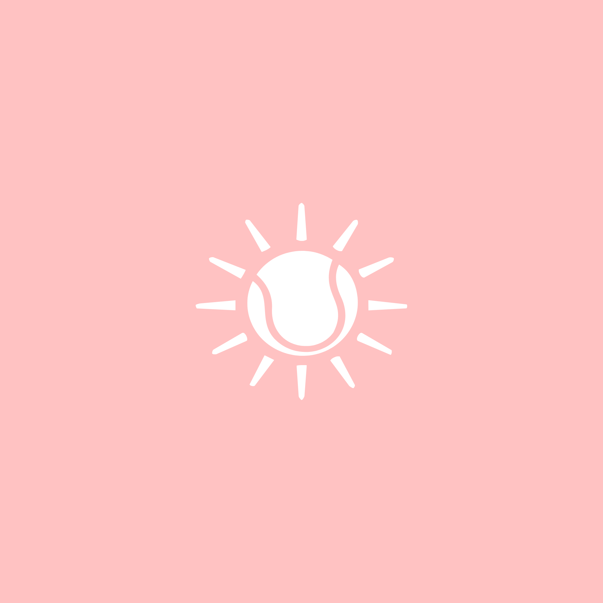 Gamme Flore Rose